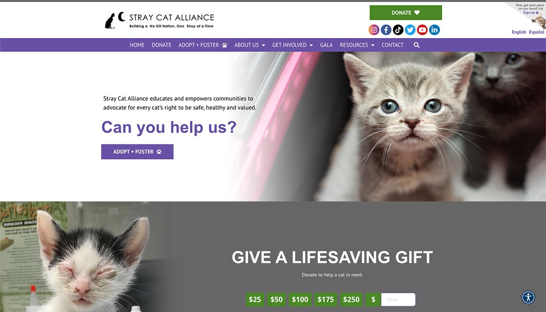 stray cat alliance desktop website home page
