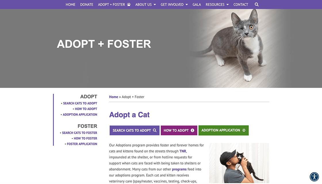 stray cat alliance desktop website adopt page