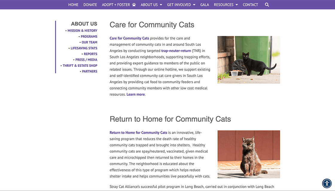 stray cat alliance desktop website