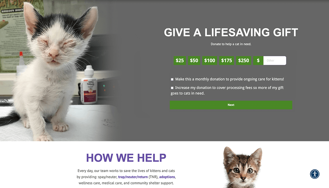 stray cat alliance desktop website donate page