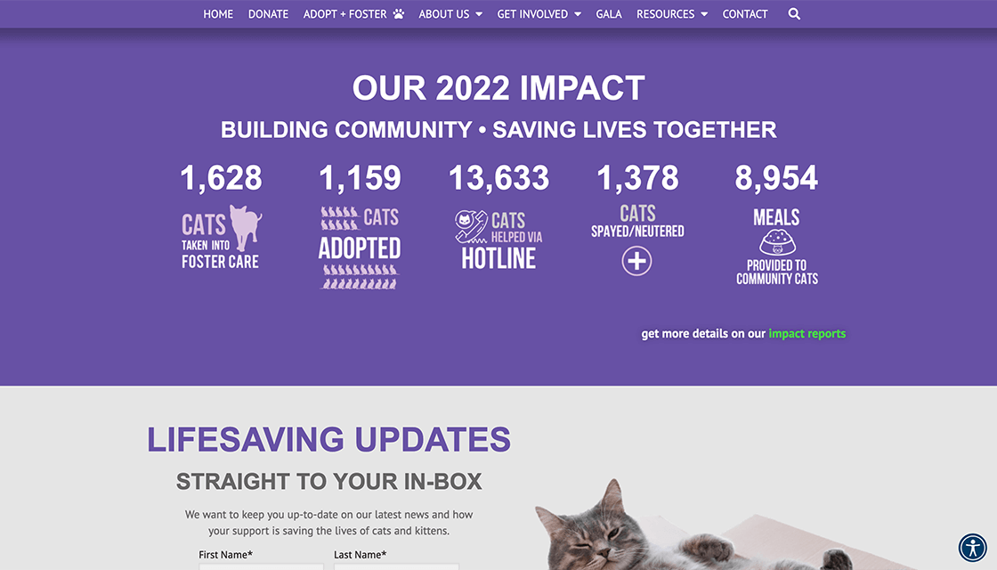 stray cat alliance desktop website stats page