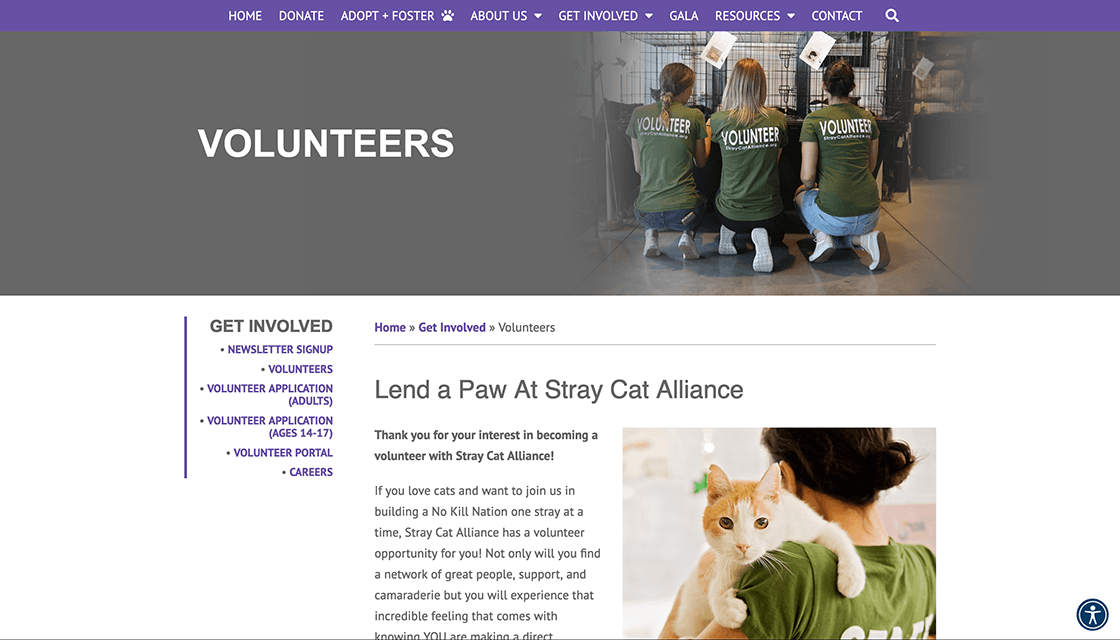 stray cat alliance desktop website volunteer page