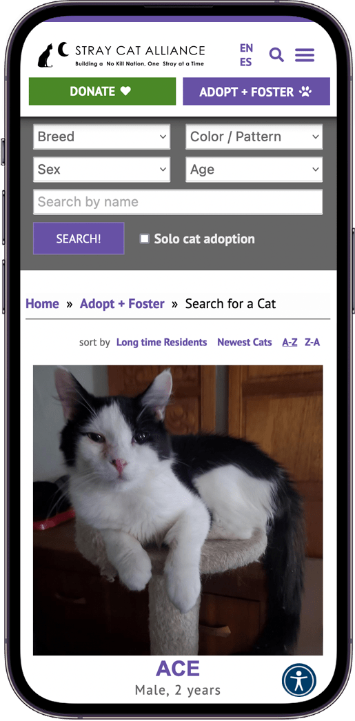 stray cat alliance mobile adoption database search