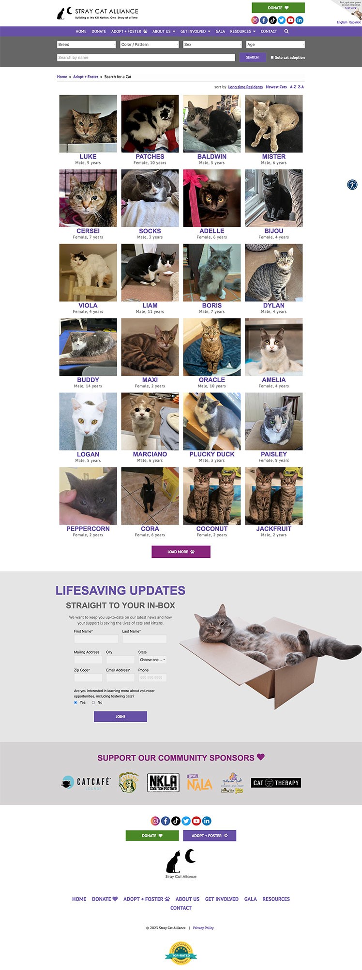 stray cat alliance search database