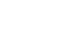 the skatepark project steps logo